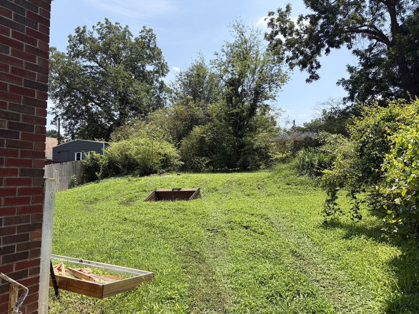 The same backyard overgrown with brush and vine before clearing