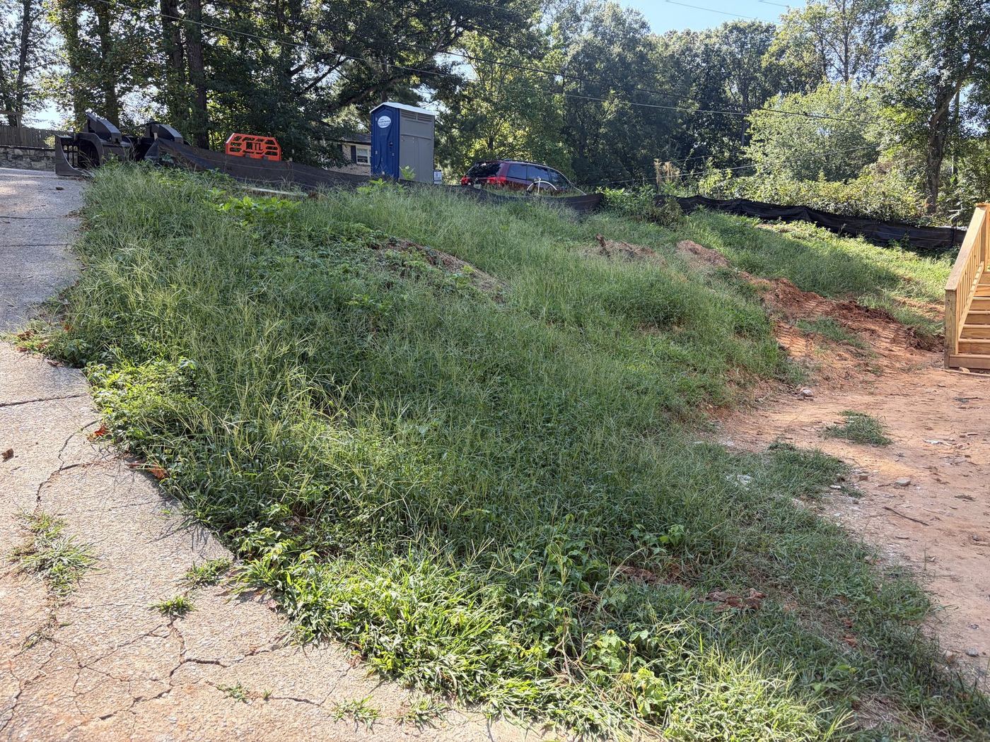 Weedy overgrown slope before grading