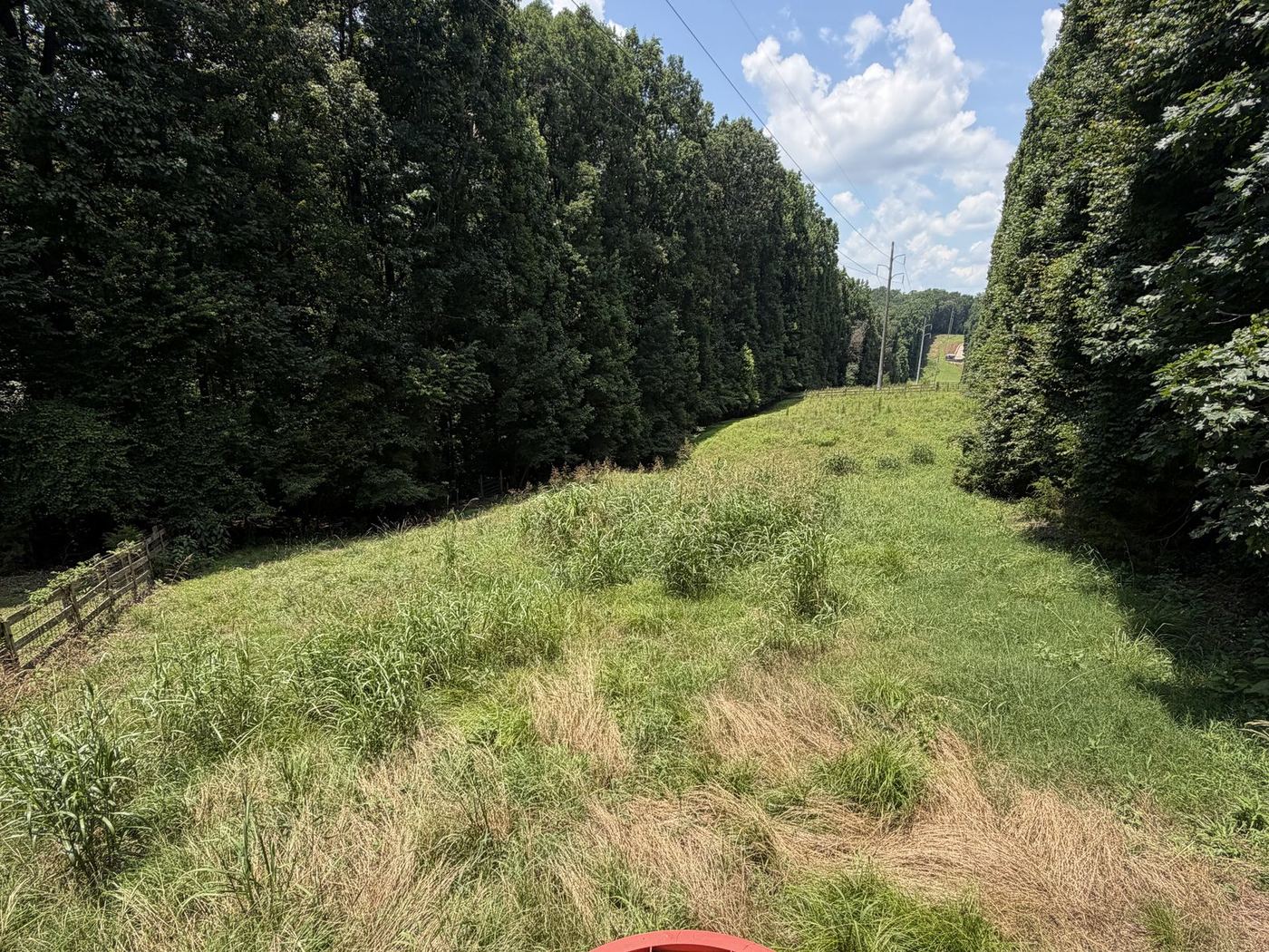 The same corridor overgrown with tall grass before brush hogging