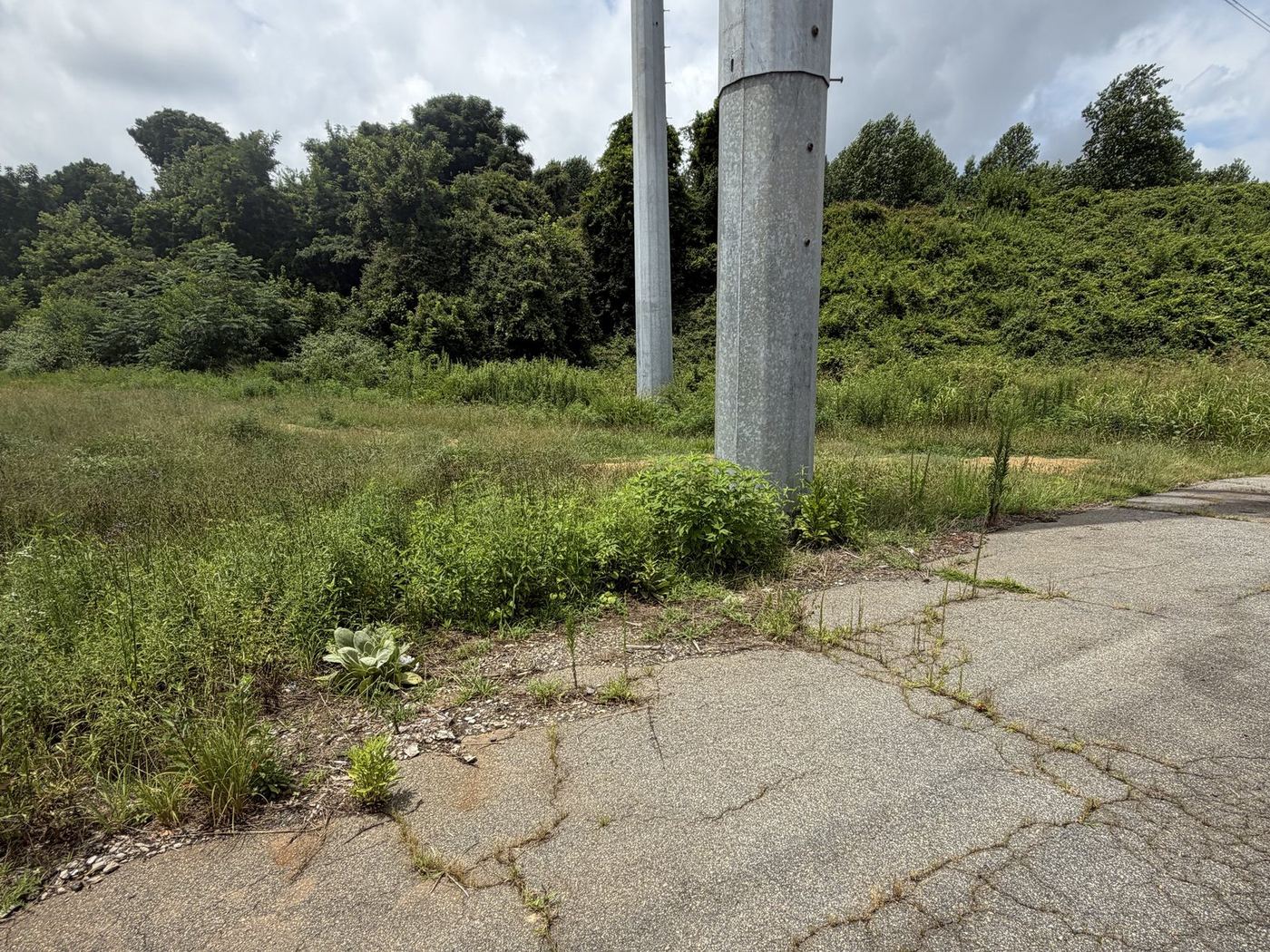 Weeds growing through the asphalt seams and overgrown lot edge